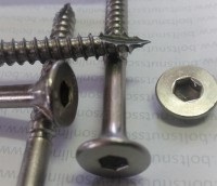 Stainless Steel Batten Screws